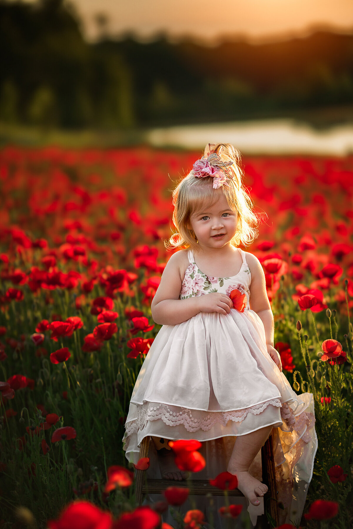 Raleigh-childrens-photographer--42