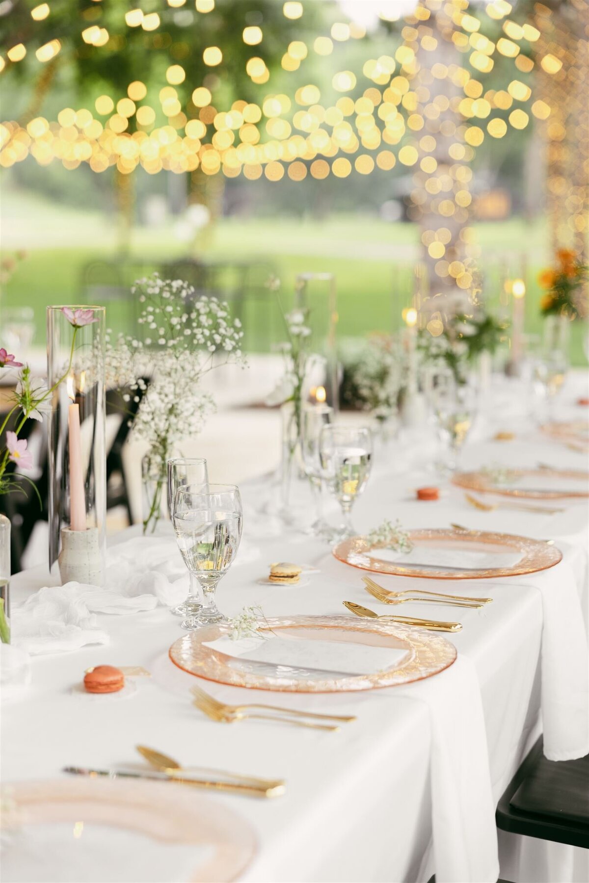 Associate Photographer team at Bavaria Downs Wedding