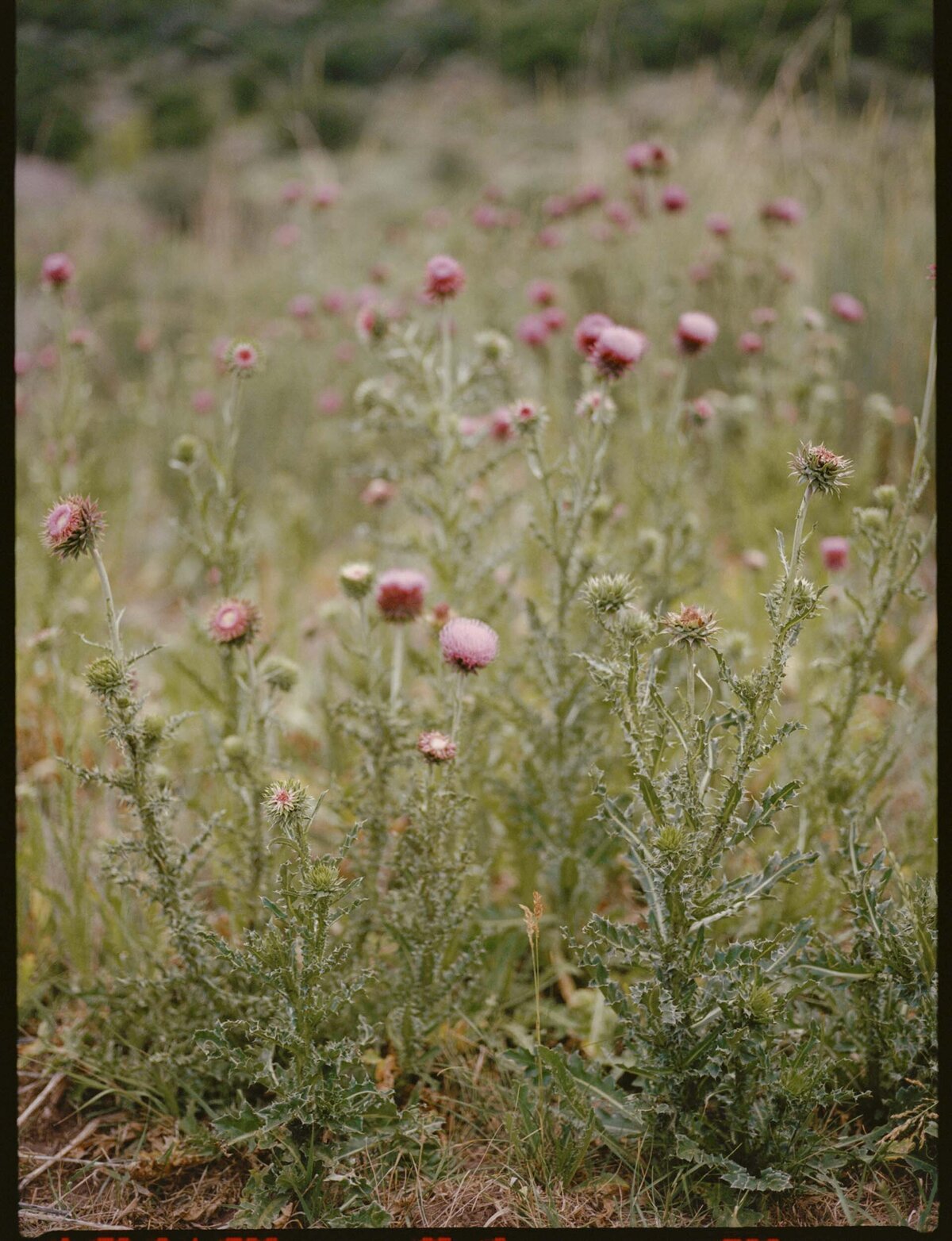 KateEdwardsWeddings_Caroline&Tom_Wedding_Finals-1535
