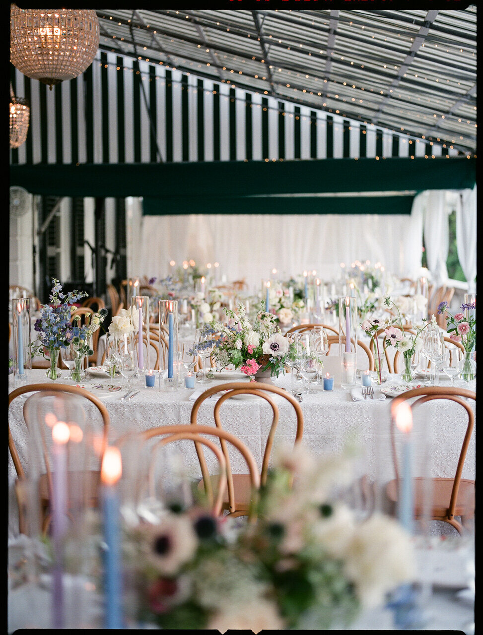 leila-brewster-photography-2025