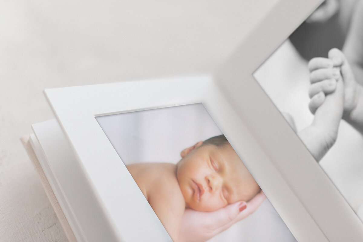 Jasmine ringo photography album newborn
