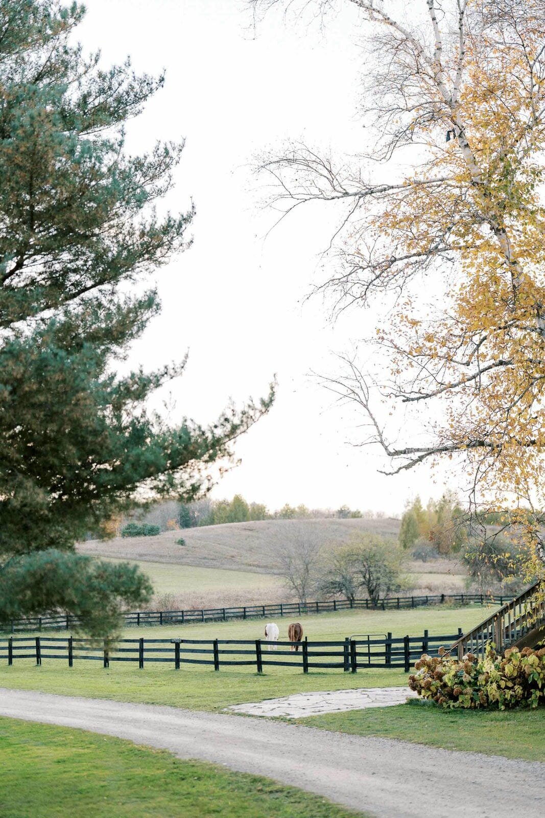 W11-Wedding-Photos-Caledon-Valley-Estate-Eleanor-and-Michael-2024-11-02-2500px-1170
