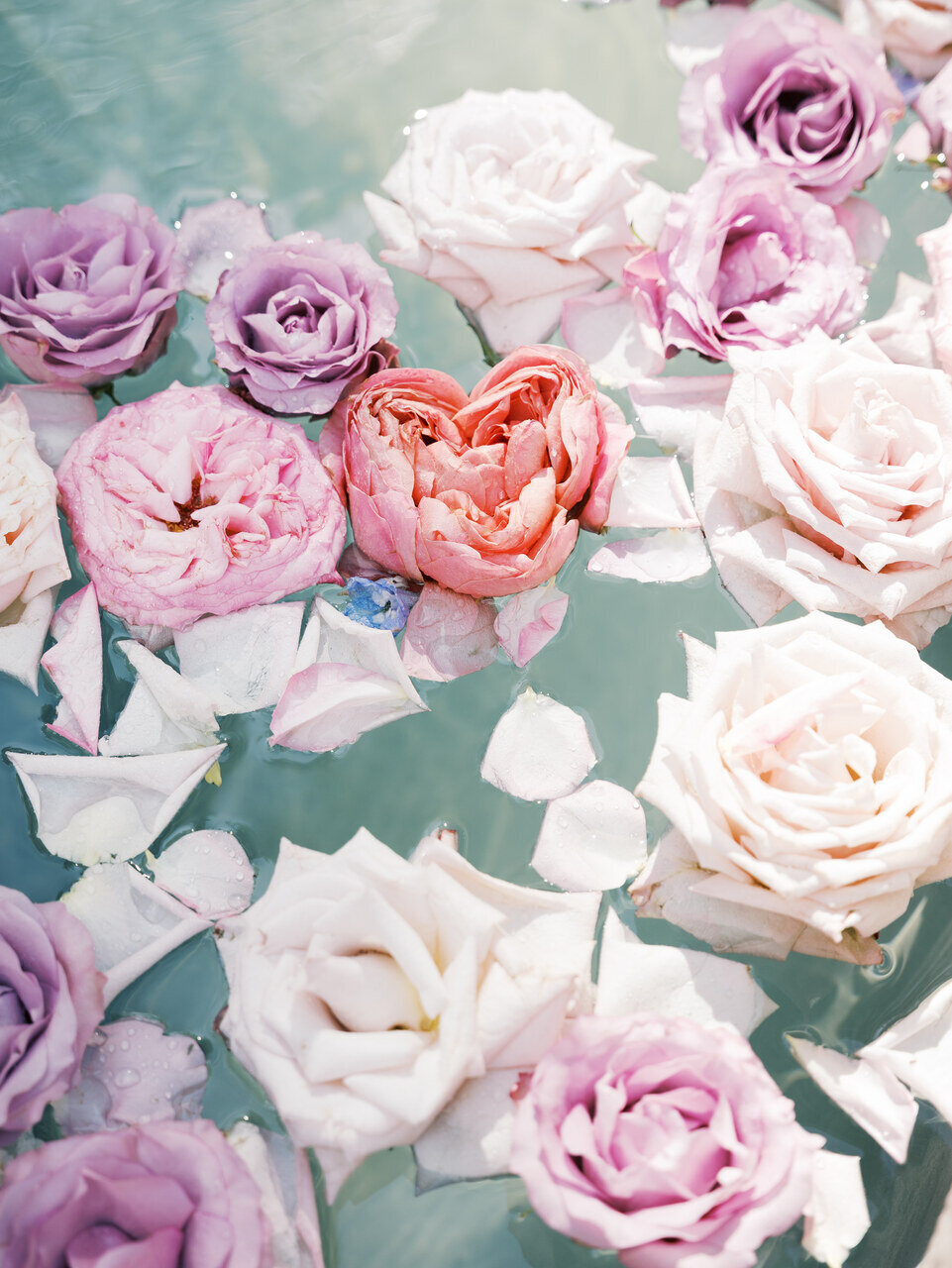 leila-brewster-photography-2001