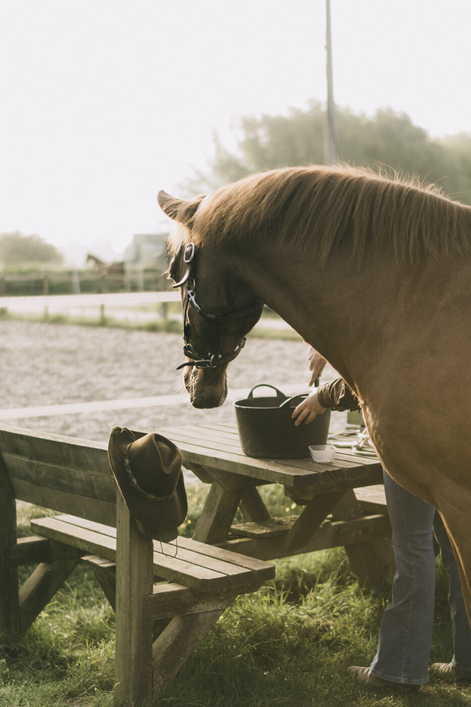 Filmische fotoshoot van Sanne & Rio (3 van 40)