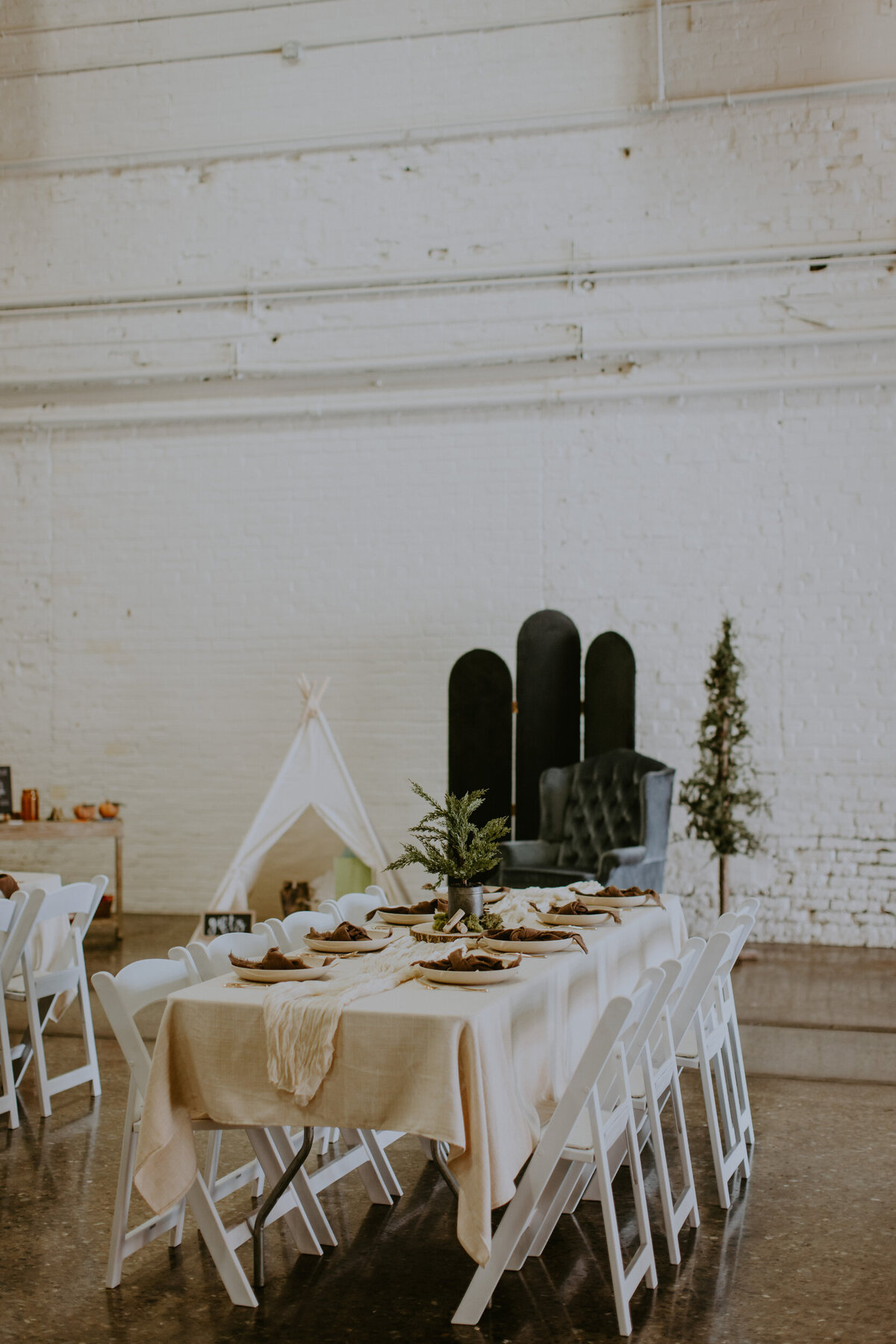 Mayes Baby Shower -  Linens, plates, napkins, runner, centerpieces, rugs, chair, divider(2)