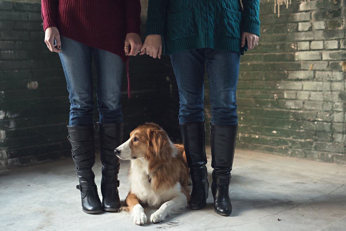 Pet Photography Minneapolis | Megan Engeseth Photography 08