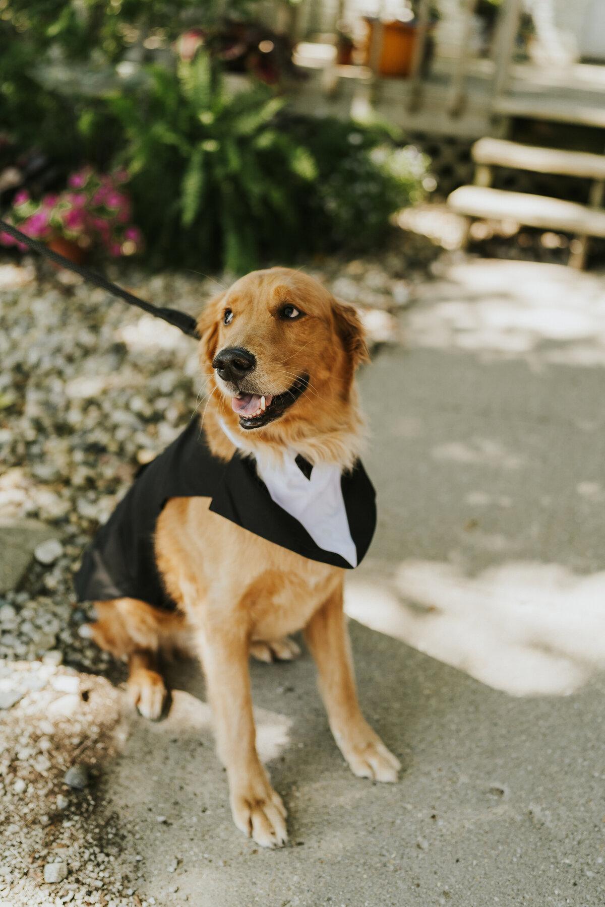Mr. & Mrs. Lonsbury024