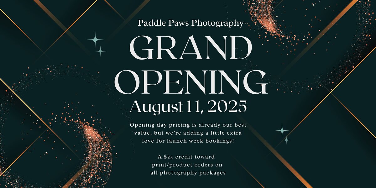 White Gold Elegant Modern Grand Opening Store Banner (2)