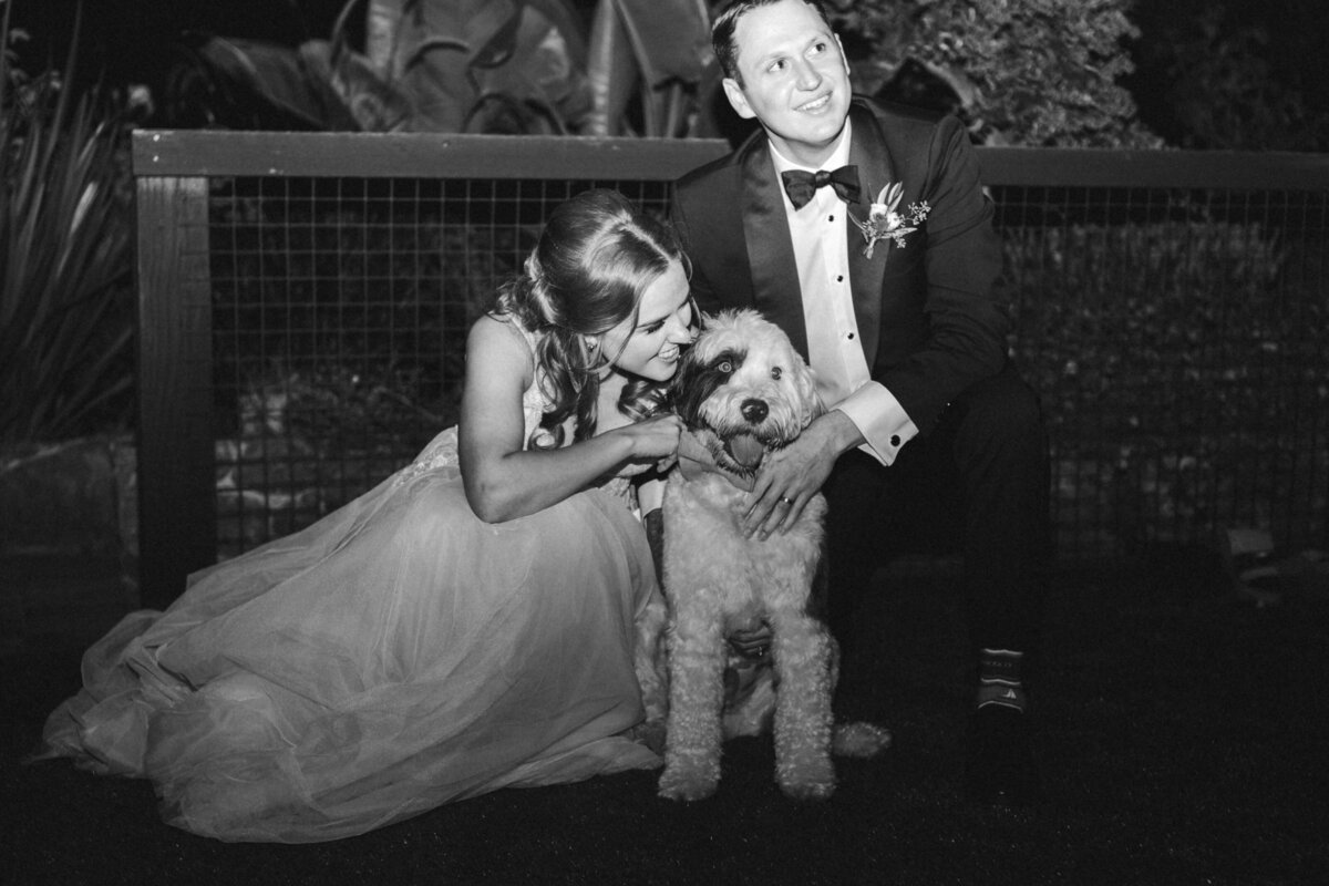 bridal party with pets