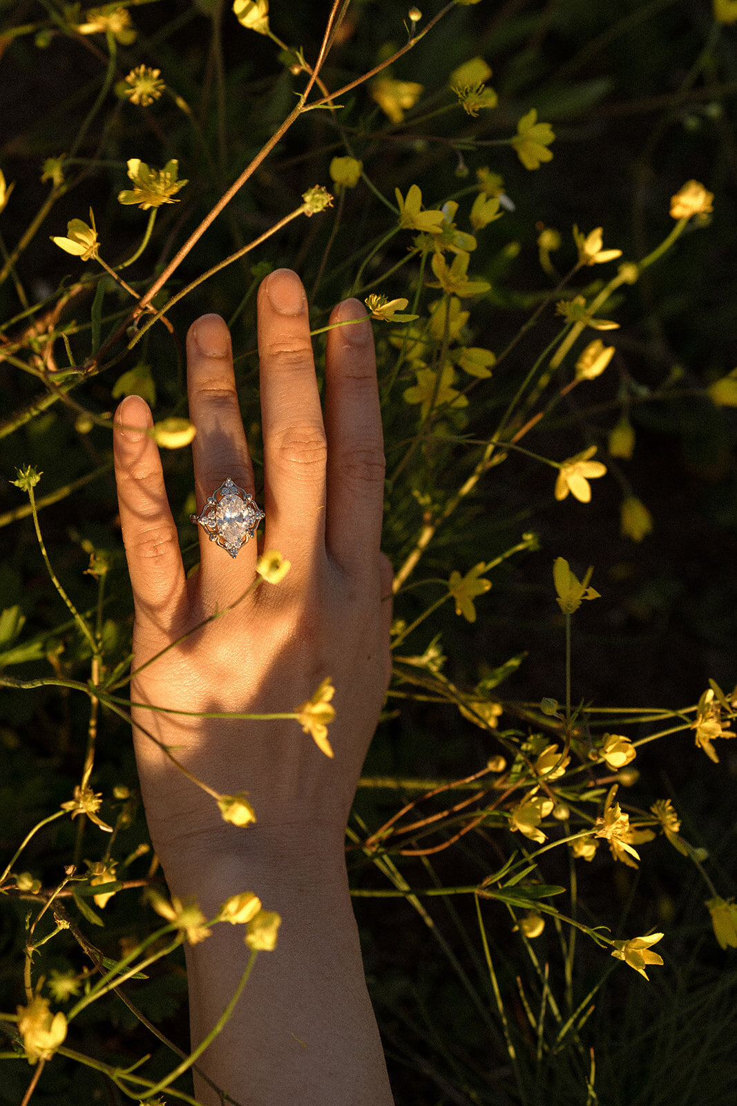 Emily-Noelle-Photo-Engagement-Photos-Portland-Oregon-01903