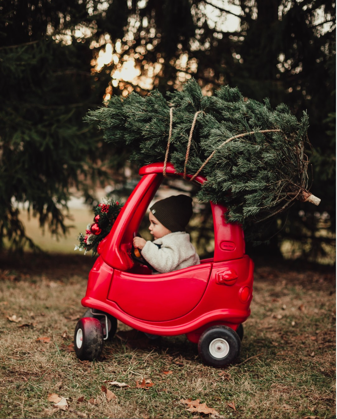 Alessandra-legacy-Photography-Mommy-and-me-Carmel-indianapolis-children's-holiday-christmas-mini-shoot-summer-session-family-3