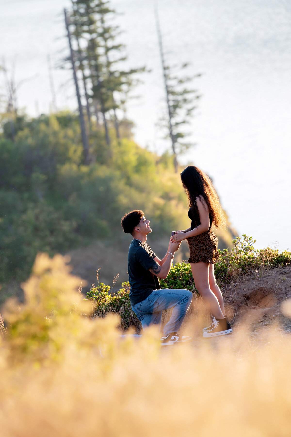government-cove-surprise-proposal-220724-190251