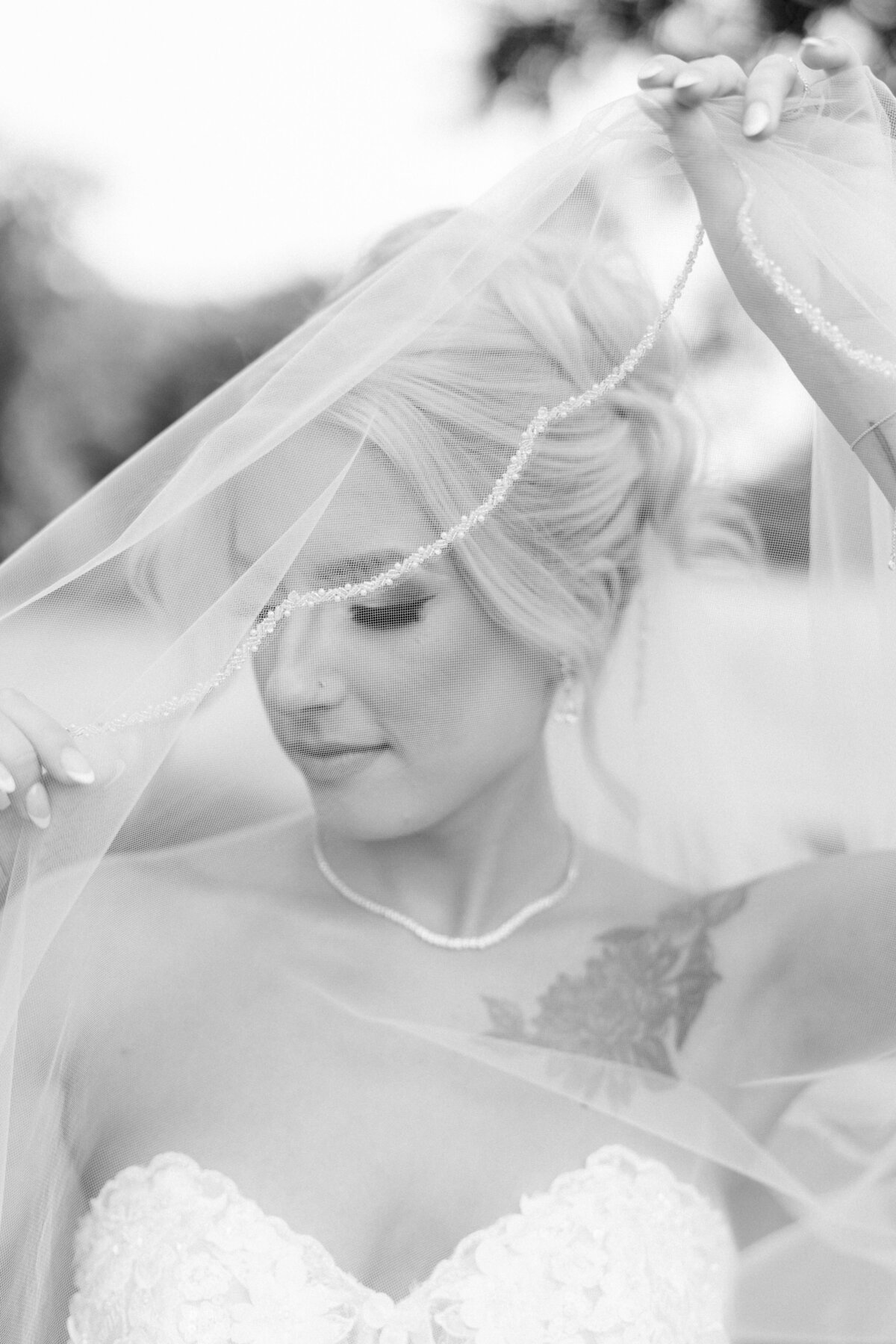 Marino-Preview_VMP-34