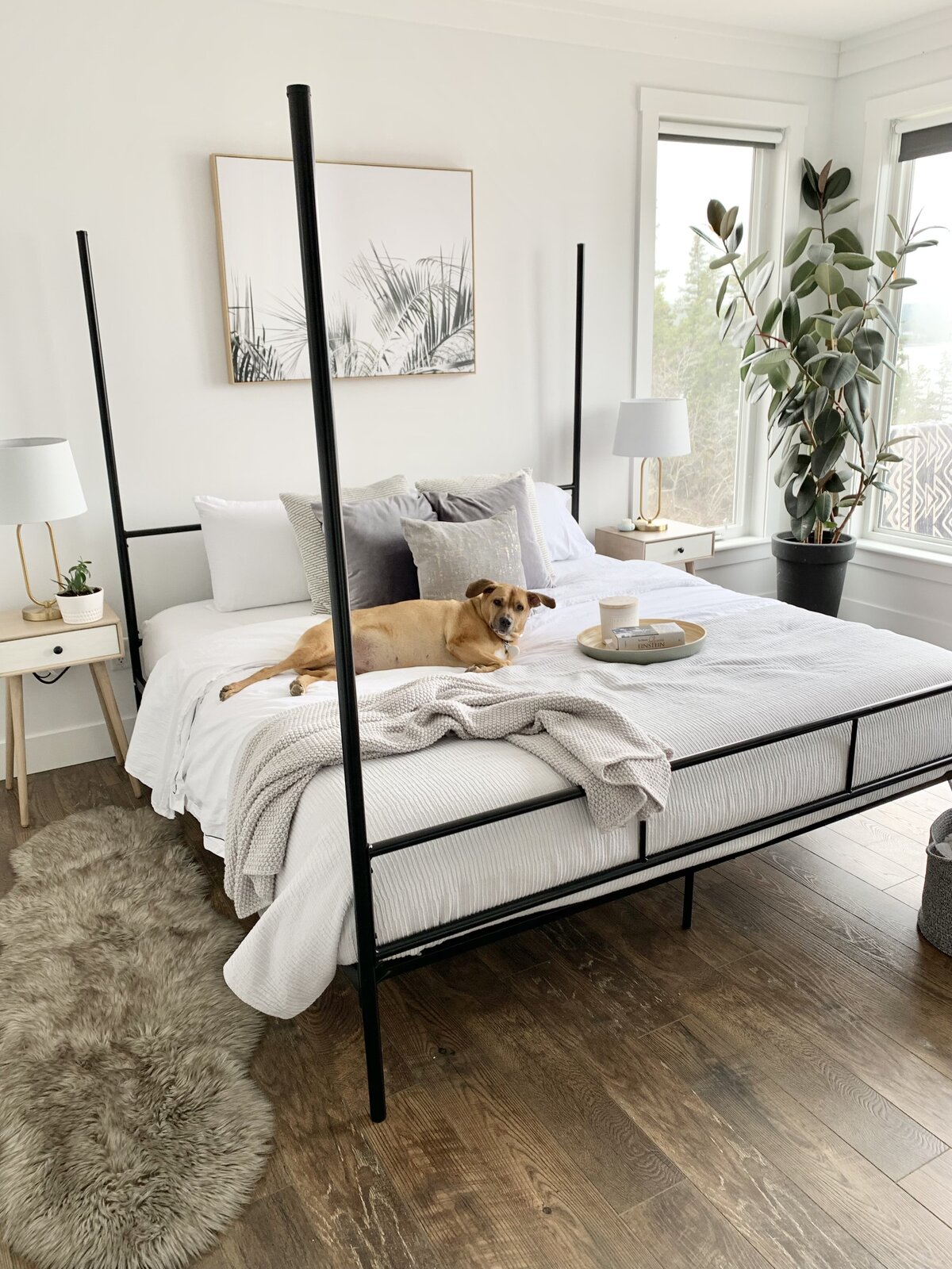bedroom_refresh_pup_the_callahan_collective