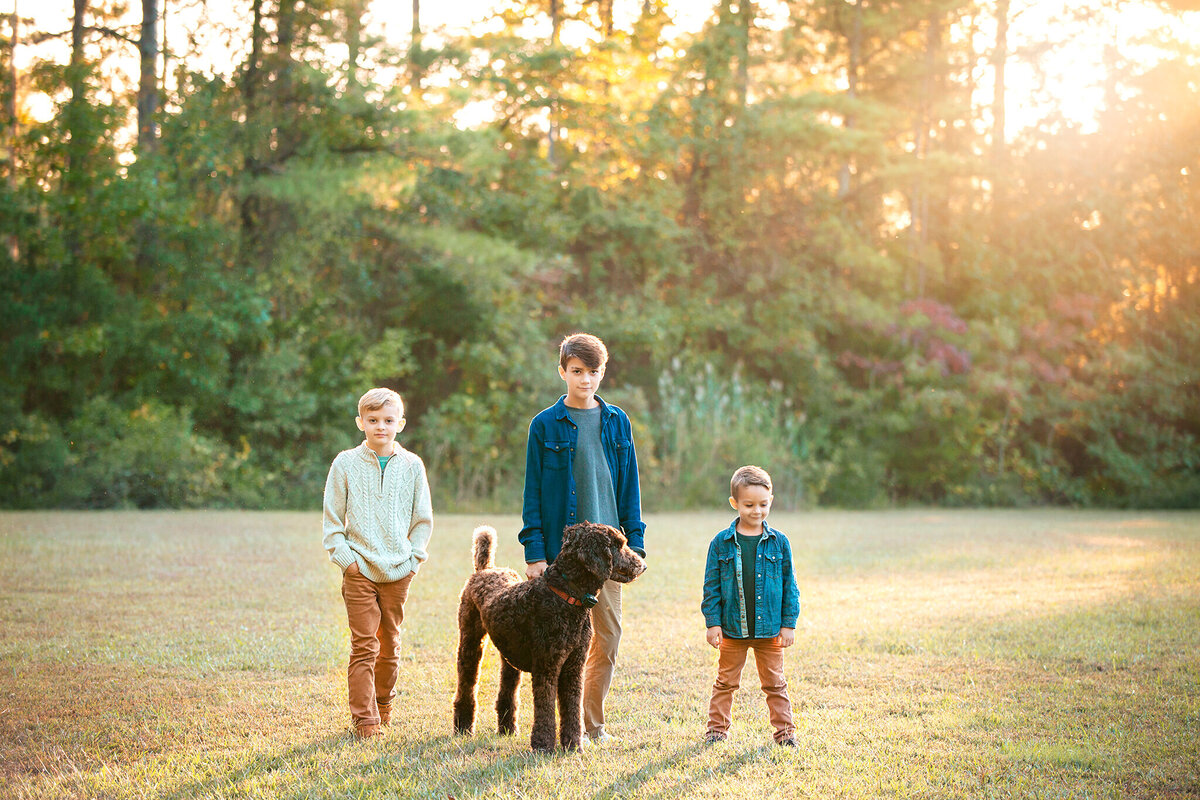 Hampton Roads family photography with three young boys standing together in a field with their poodle dog as the sun sets through the trees in the distance