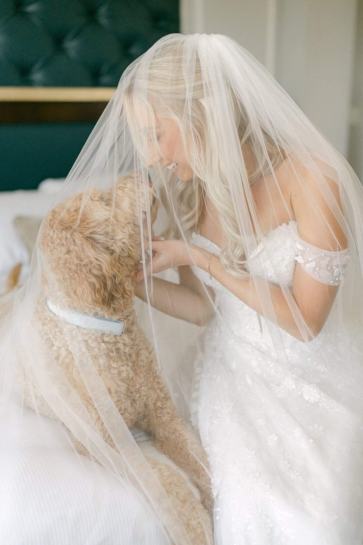 Hotel Carmichael Wedding Alison Mae Photography_1848