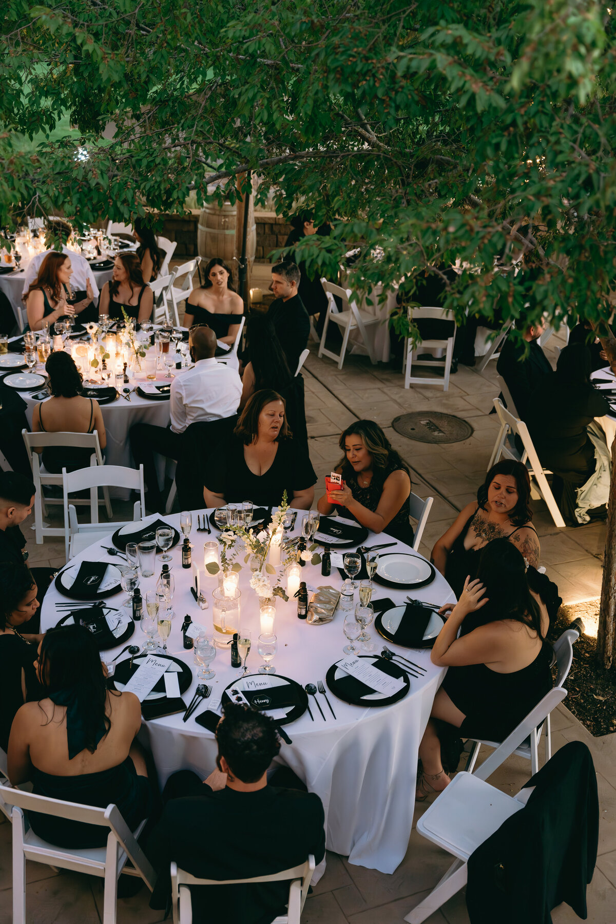 Pitcock-Wedding-Reception-Arianna-Maddox-Photography-25