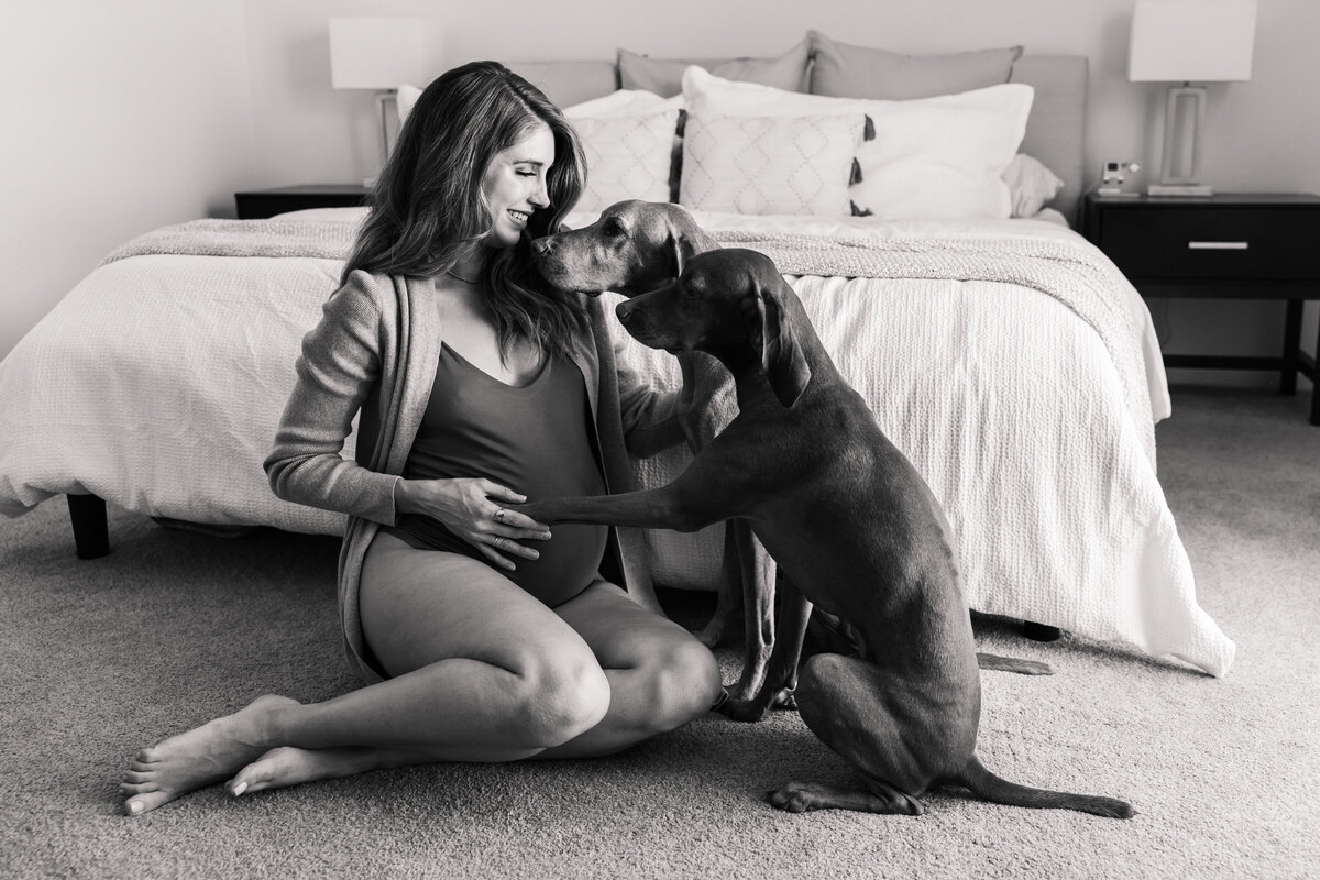 pregnant mom to be with dogs holding baby bump