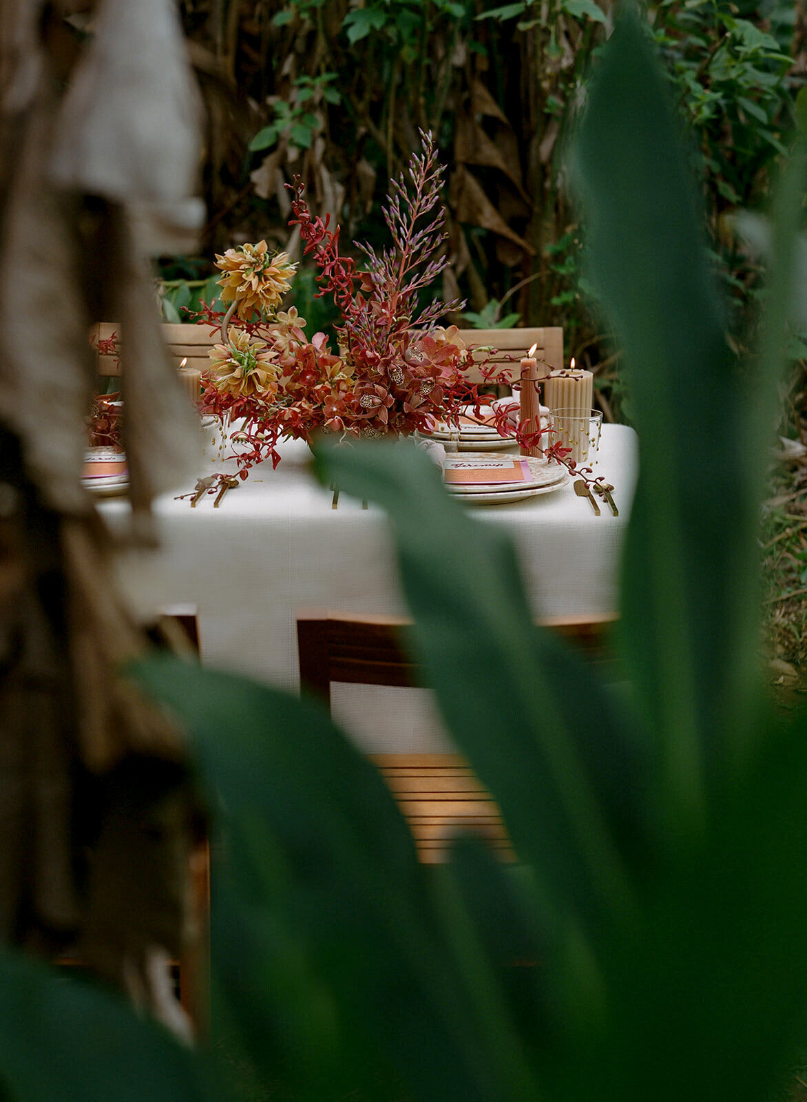 dani_toscano_kona-190_websize