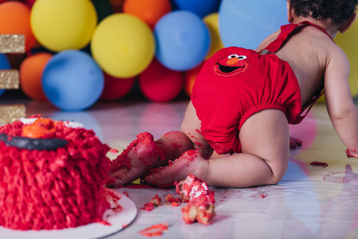 aalijah-Cleveland-cakesmash-Photography009