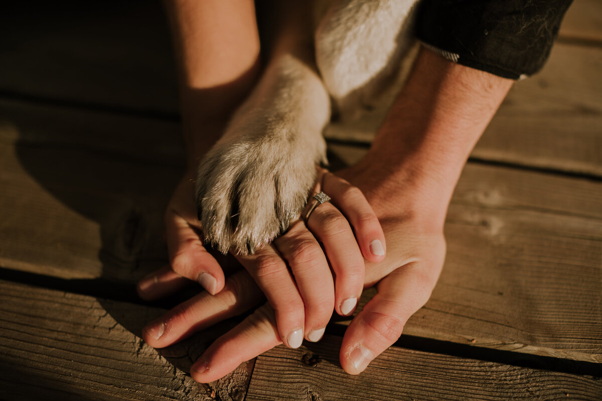 brad-reed-engagement-proposal-fall-autumn-cottage-lake-6