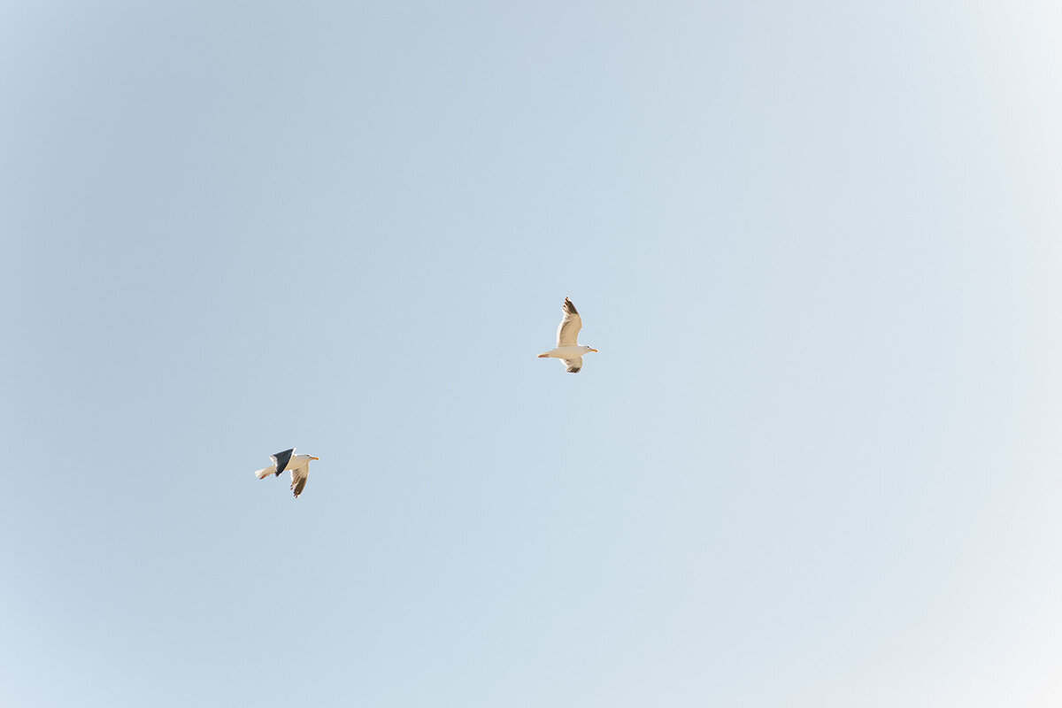 Tripp_Devry_D3_Santa_Barbara_Wedding_SBerard_Weddings-358