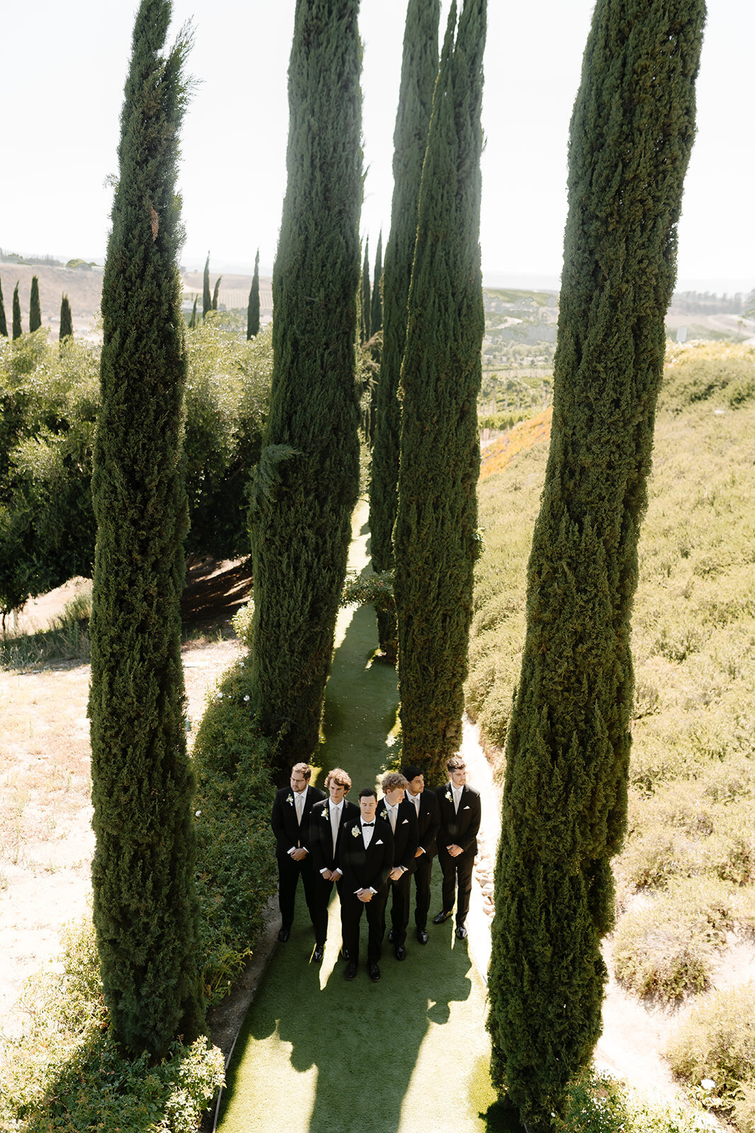 falkner winery temecula wedding 93