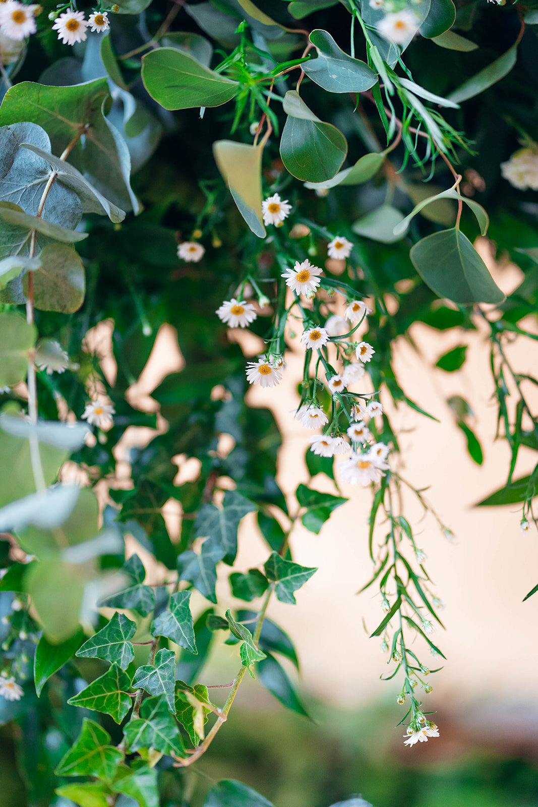 EmilyCollettPhotography0082