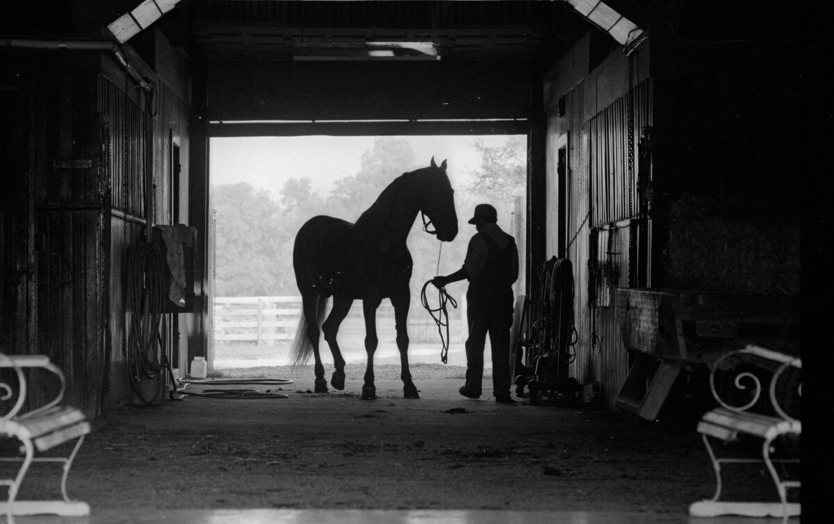 5Q Breezeway