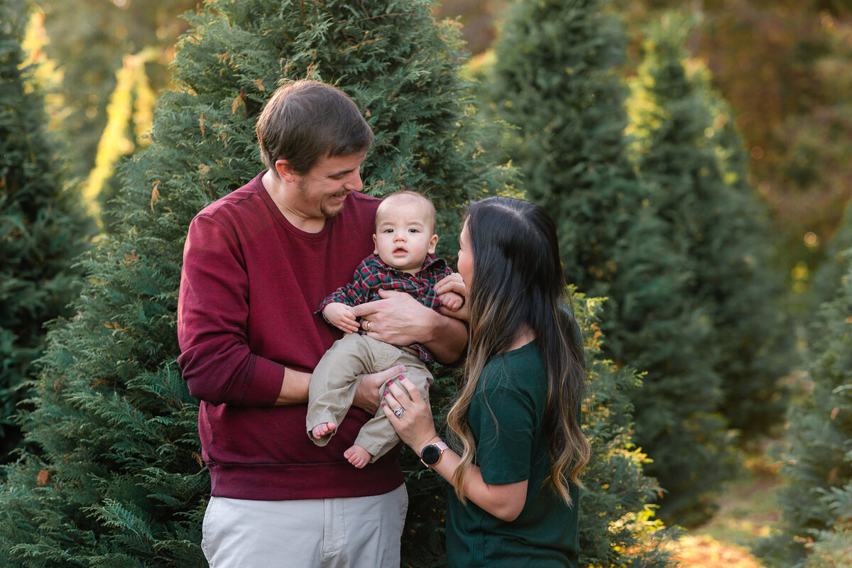 Savannah-christmas tree farm-photographer-3