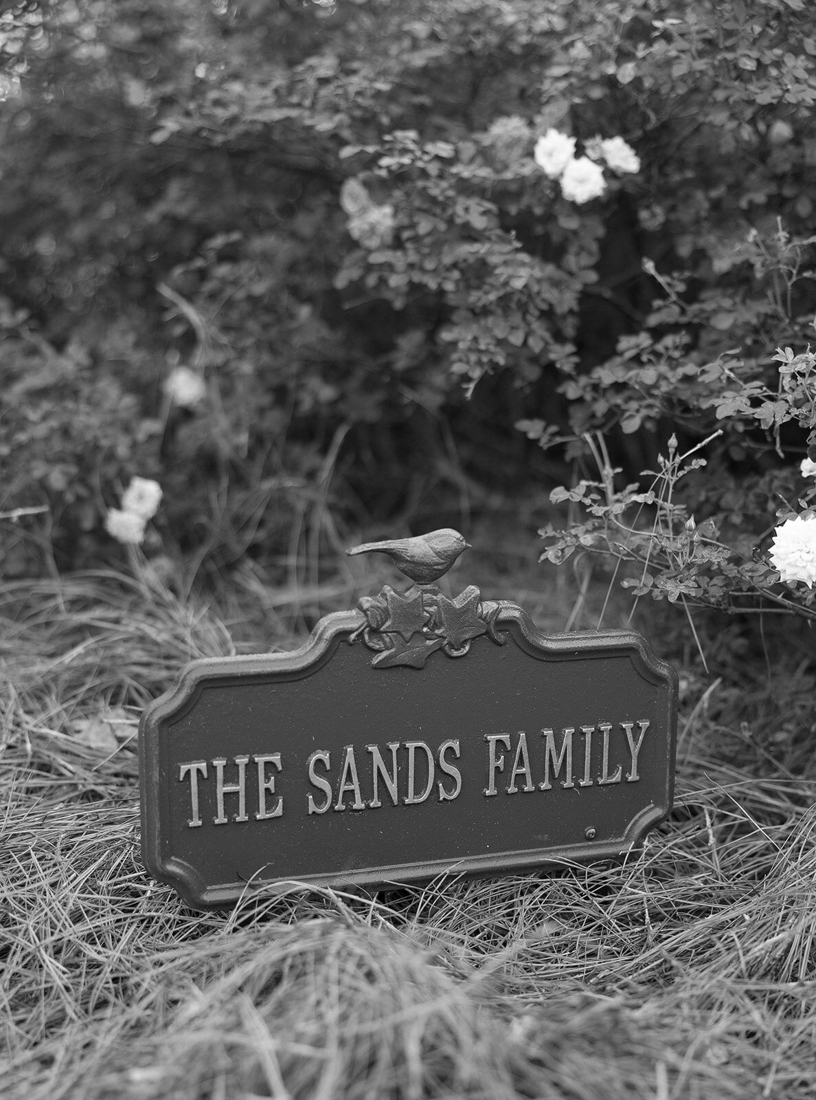 MauraDavidson_Emily+Duncan-8501