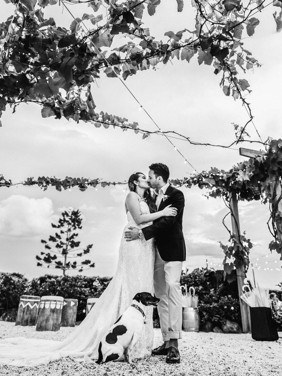 The-Fig-Tree-Byron-Bay-wedding-Serenity-Photography-90