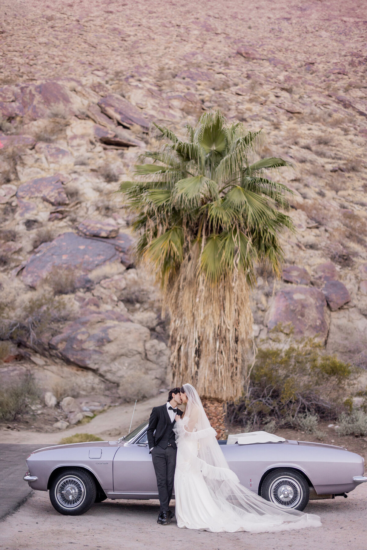 Couple standing together beside a vintage convertible beneath a tall palm in the Palm Springs desert, framed by golden tones and mountain views.
