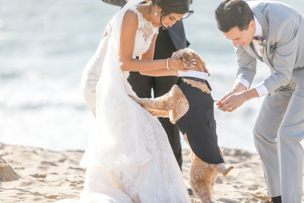 Monterey Wedding (131 of 188)