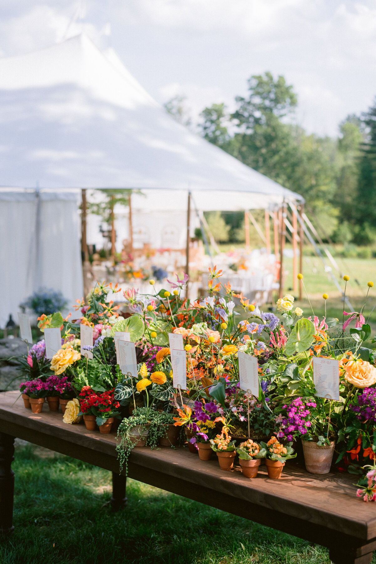 Summer wedding at Willow Hill in Connecticut Gathered East