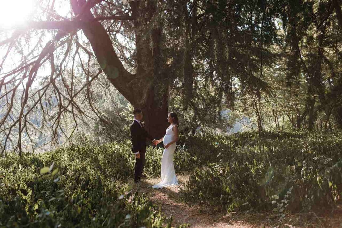 couple_standing_in_foresy