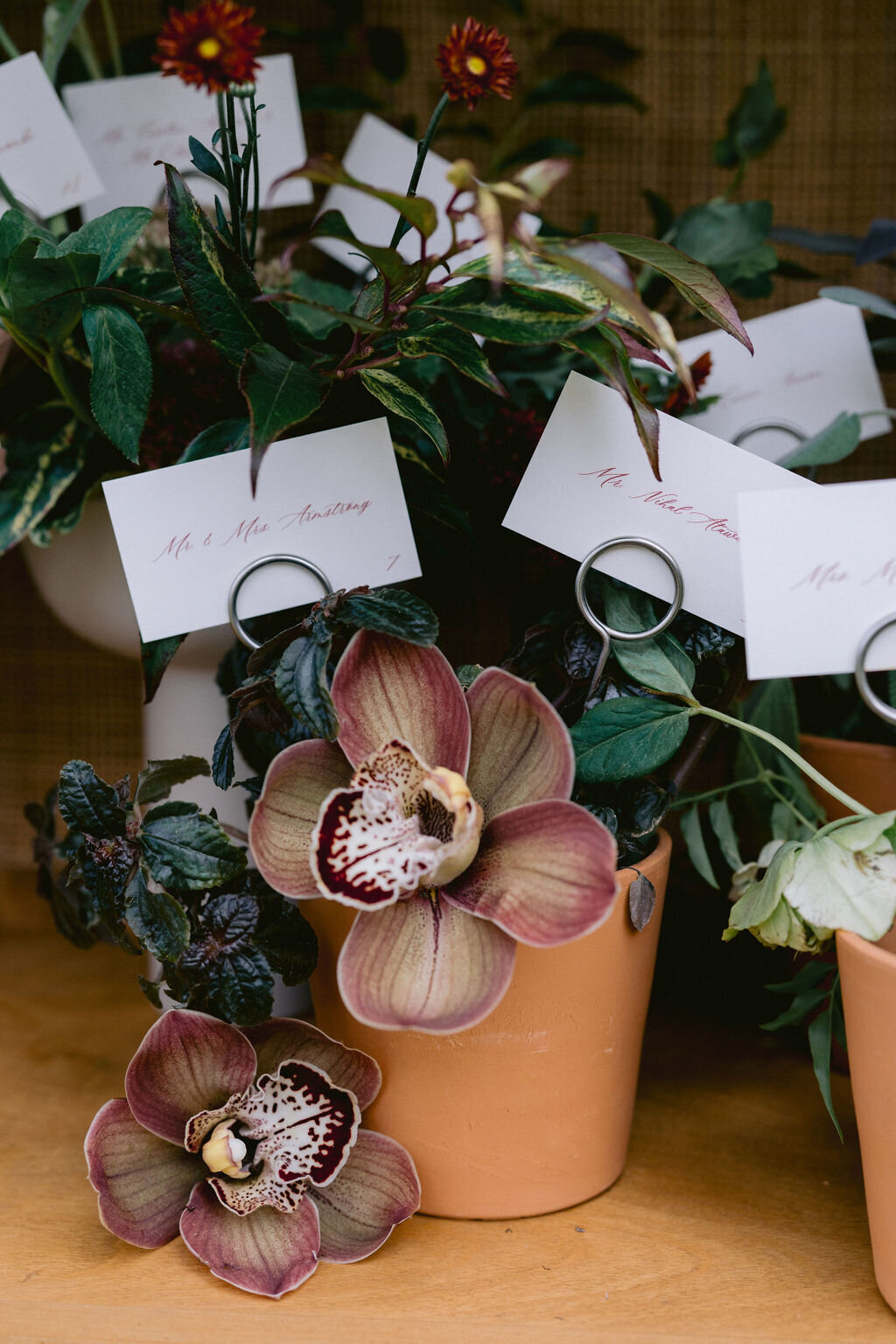 NikkiSanterre_EastCoastLuxuryWeddingPhotographer_CaitieHanrahan_KeswickHallWedding_Jac&Zach-169