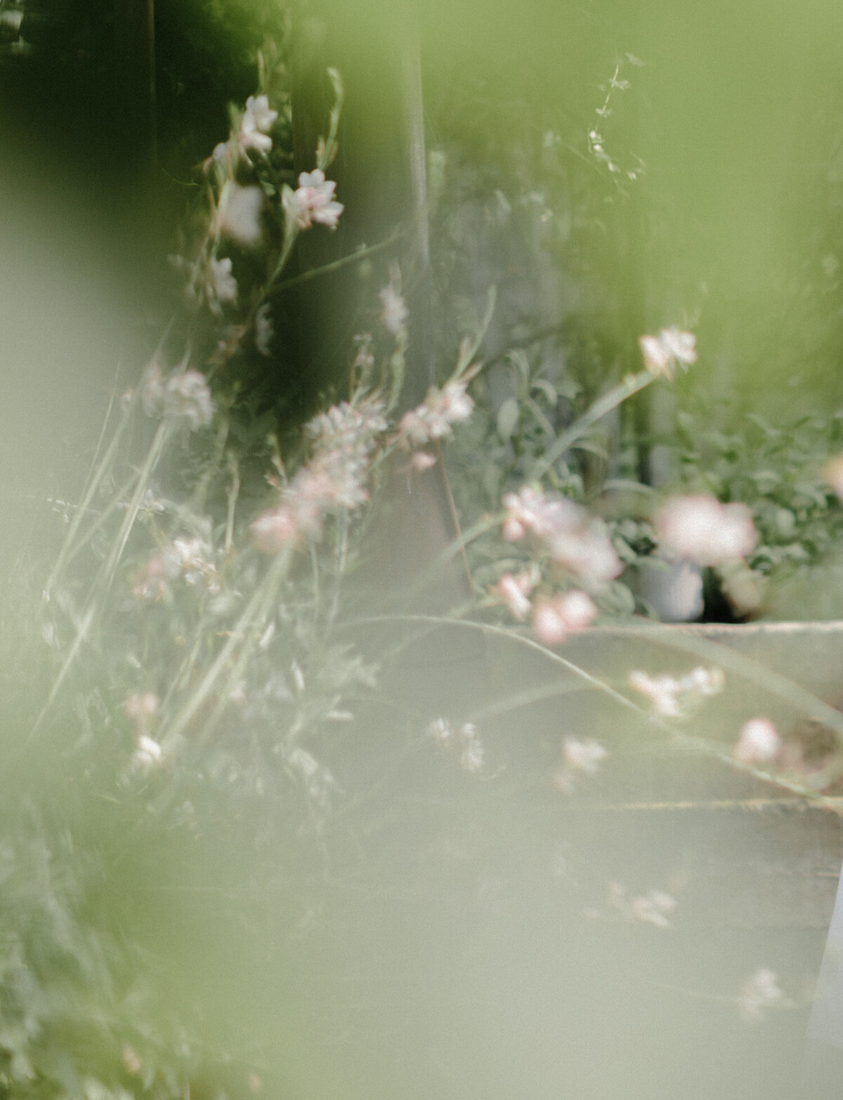 abstract flowers film wedding photography at Glass House Community