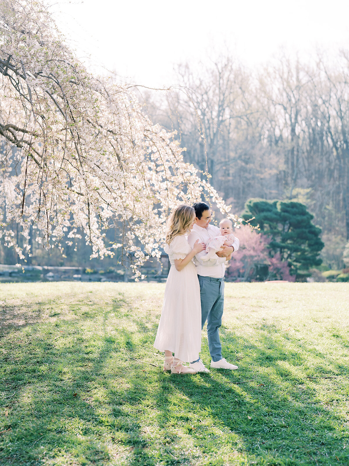 Father and mother stand together holding their baby girl in front of cherry blossom tree.