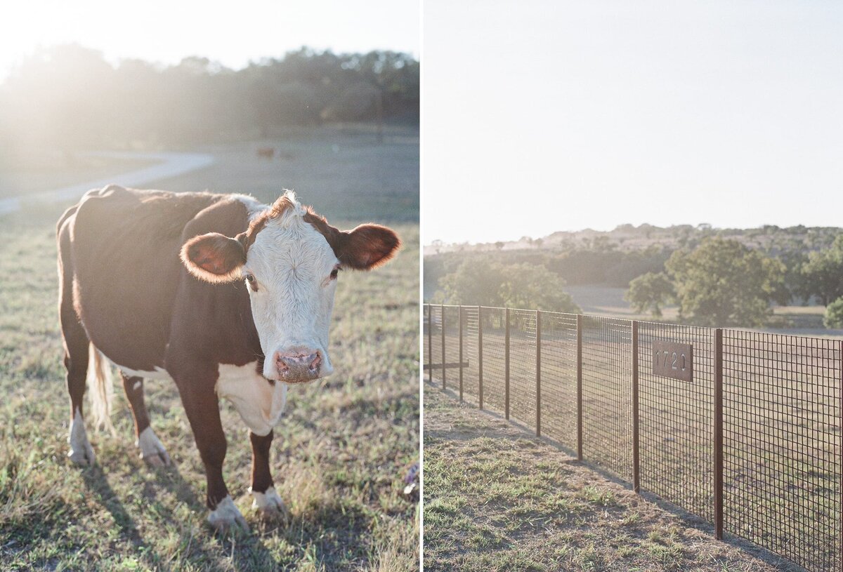 kendall-stephen-bw-theory-hill-country-wedding58