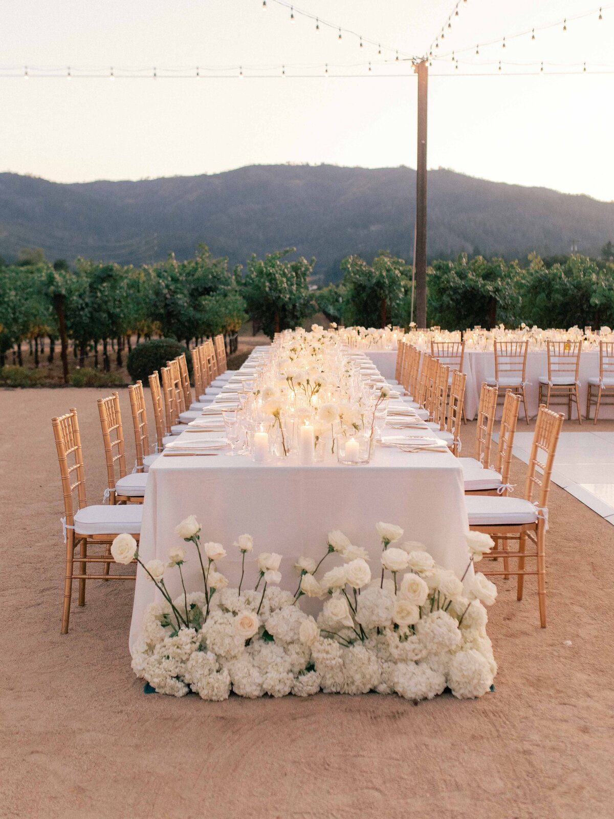 Morgan-Brooks-Photography-Napa-wedding-tre-posti-2024-6402