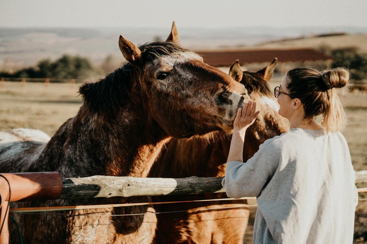 čas strávený u koní na farmě v Olšanech od Lotos Beauty