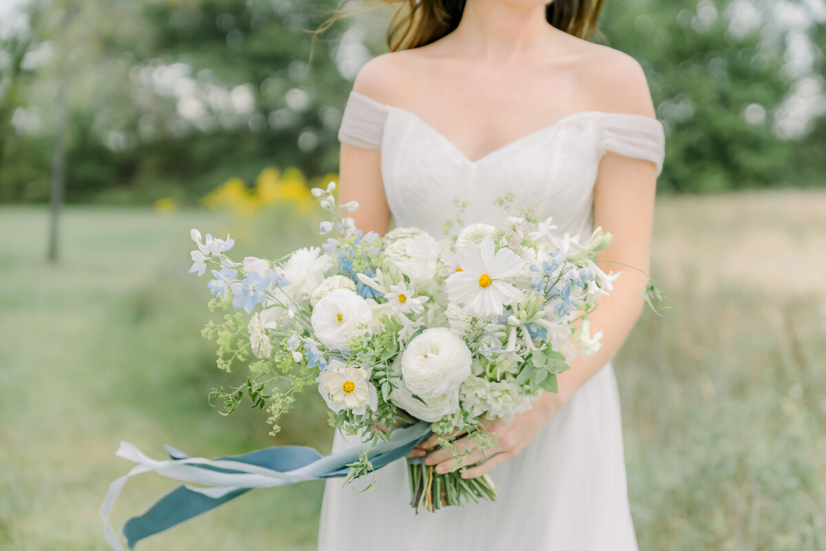 Cassie-And-Frances-wedding-bridal-Emerson-Fields-Photographer-Mexico-Columbia-St.Louis-Kansas-City-Missouri-Kansas