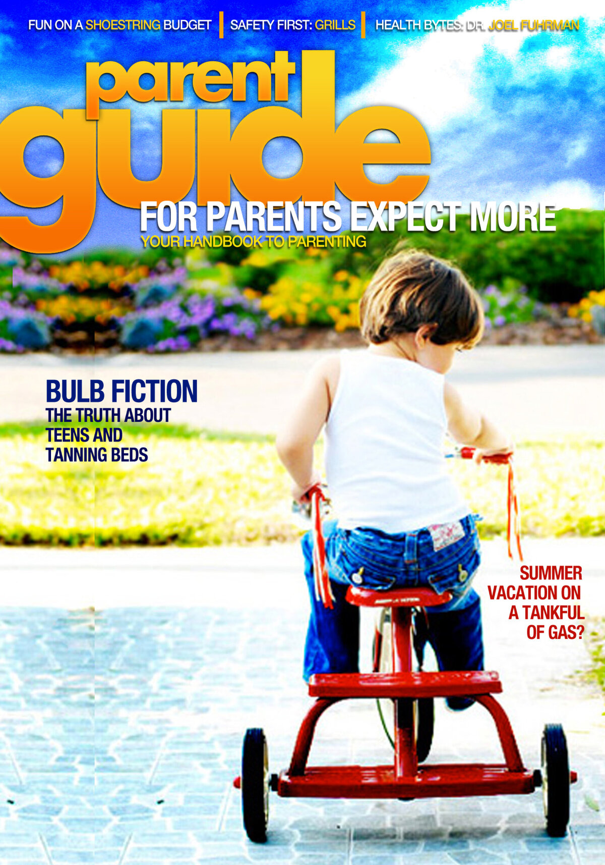 PG Cover