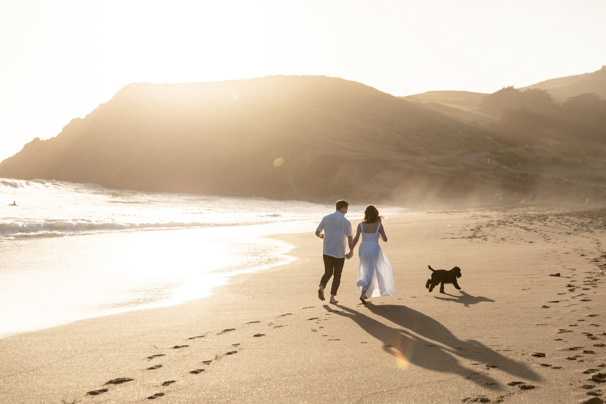 018-larissa-cleveland-engaged-wedding-san-francisco-california-laurie-arons-shannon-leahy-018