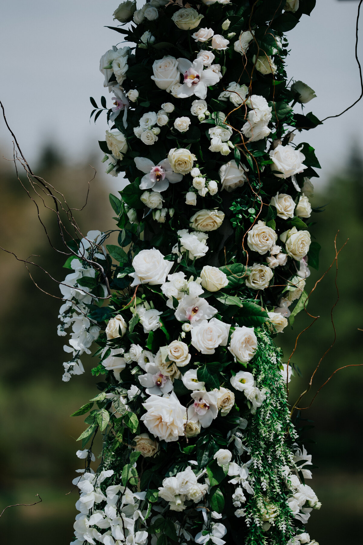 AmritaSinghPhoto-4273
