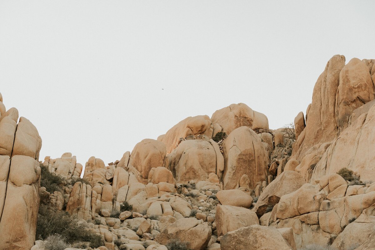 Joshua-Tree-Elopement-9