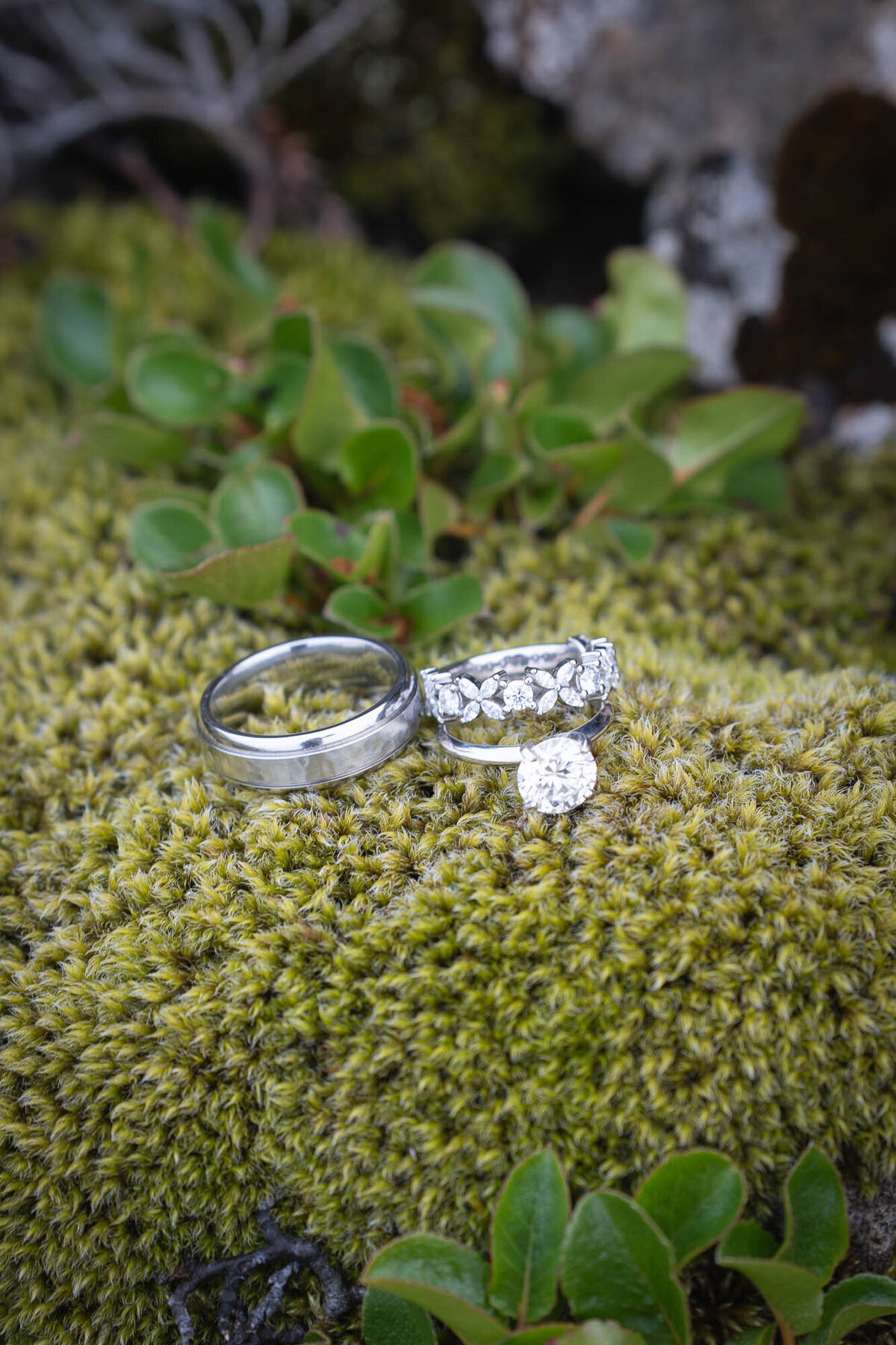 wedding-rings-moss-iceland