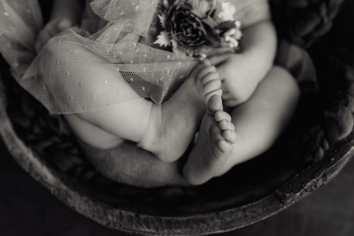 DSC02746-Edit