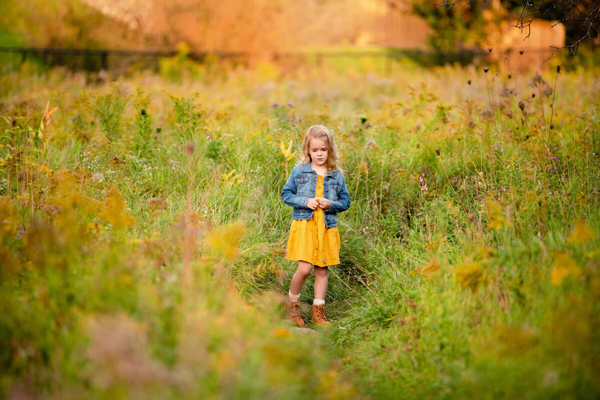 Blonde little girl wearing a yellow dress and a jean jacket in a field in the fall for her family photographer session in Burlington